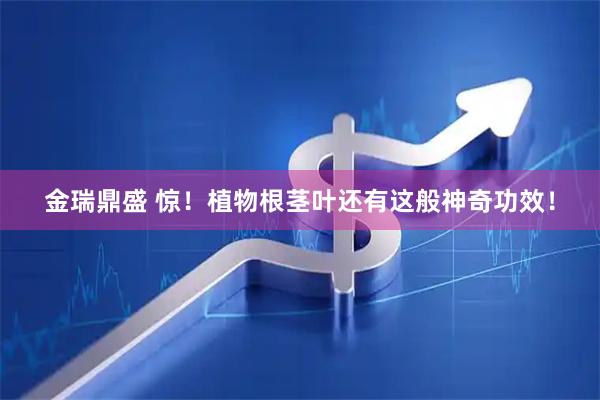 金瑞鼎盛 惊！植物根茎叶还有这般神奇功效！