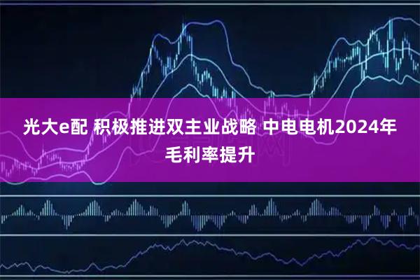 光大e配 积极推进双主业战略 中电电机2024年毛利率提升