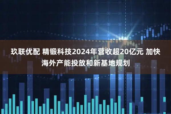 玖联优配 精锻科技2024年营收超20亿元 加快海外产能投放和新基地规划