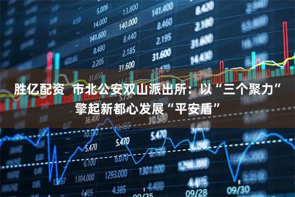 胜亿配资  市北公安双山派出所：以“三个聚力”擎起新都心发展“平安盾”