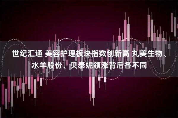 世纪汇通 美容护理板块指数创新高 丸美生物、水羊股份、贝泰妮领涨背后各不同